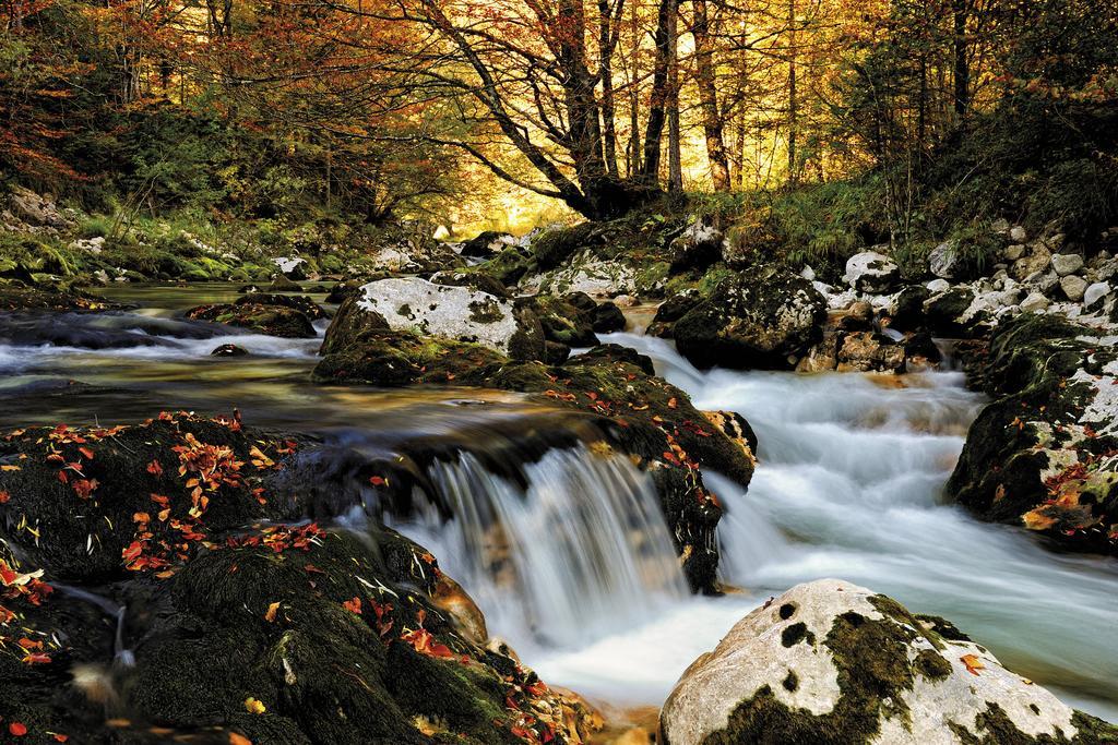 Farmhouse Pri Miklavu Bohinj Bagian luar foto